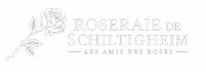 La Roseraie de Schiltigheim